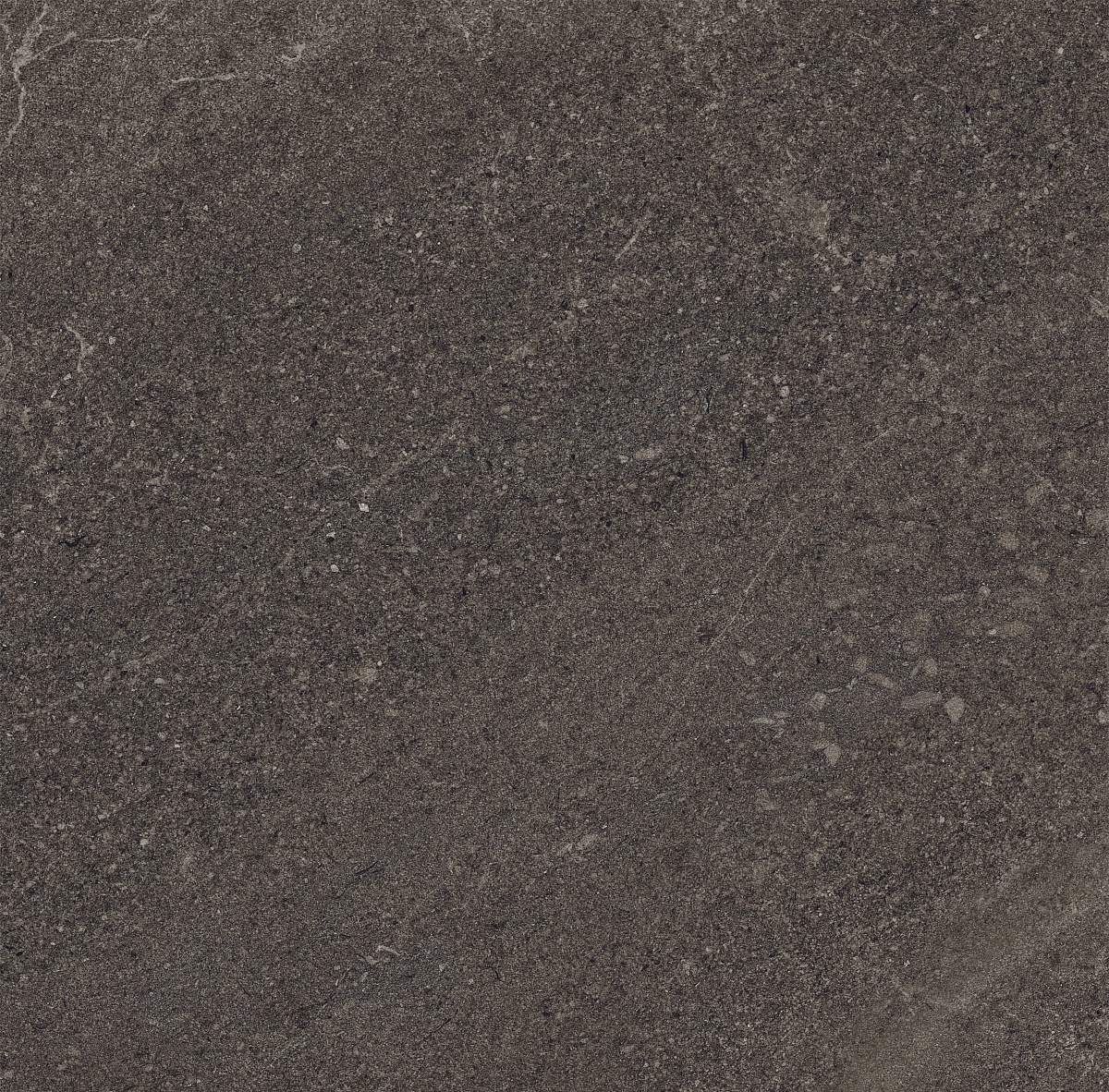 Плитка из керамогранита GB03 60x60x10 Непол.Рект. (Керамический гранит)