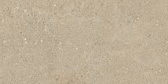 Плитка из керамогранита NP02 30,6x60,9x8 Непол. (Керамический гранит)