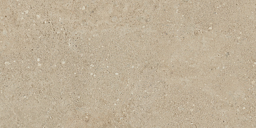 Плитка из керамогранита NP02 30,6x60,9x8 Непол. (Керамический гранит)