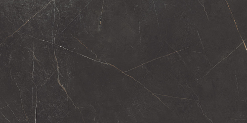 Плитка из керамогранита NL04 60x120x10 Непол.Рект. (Керамический гранит)
