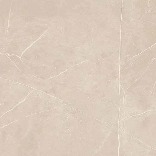 Плитка из керамогранита NL01 60x60x10 Непол.Рект. (Керамический гранит)
