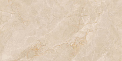 Плитка из керамогранита EXM301 60x120x9 Непол.Рект. (Керамический гранит)