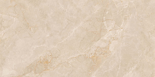 Плитка из керамогранита EXM301 60x120x9 Непол.Рект. (Керамический гранит)
