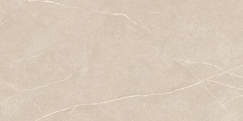 Плитка из керамогранита NL01 60x120x10 Непол.Рект. (Керамический гранит)