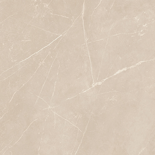 Плитка из керамогранита NL01 60x60x10 Непол.Рект. (Керамический гранит)