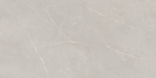 Плитка из керамогранита NL02 60x120x10 Непол.Рект. (Керамический гранит)