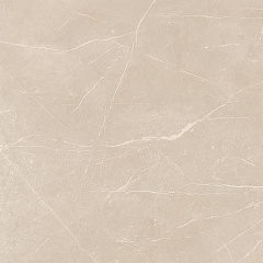 Плитка из керамогранита NL01 60x60x10 Непол.Рект. (Керамический гранит)