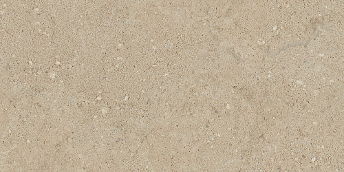 Плитка из керамогранита NP02 30,6x60,9x8 Непол. (Керамический гранит)