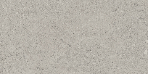 Плитка из керамогранита NP01 30,6x60,9x8 Непол. (Керамический гранит)