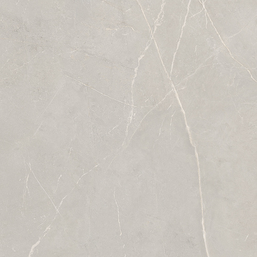 Плитка из керамогранита NL02 60x60x10 Непол.Рект. (Керамический гранит)