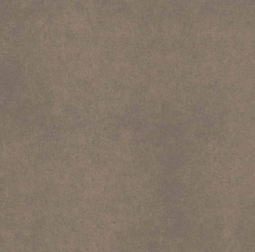 Плитка из керамогранита CA04 60x60x10 Непол.Рект. (Керамический гранит)
