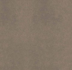 Плитка из керамогранита CA04 60x60x10 Непол.Рект. (Керамический гранит)