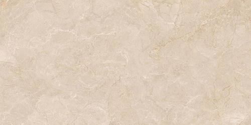 Плитка из керамогранита EXM301 60x120x9 Непол.Рект. (Керамический гранит)