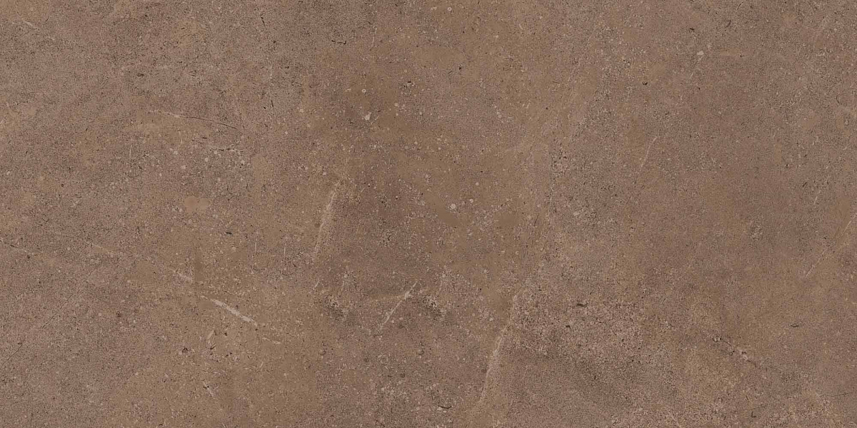 Плитка из керамогранита GO02 60x120x10 Непол.Рект. (Керамический гранит)