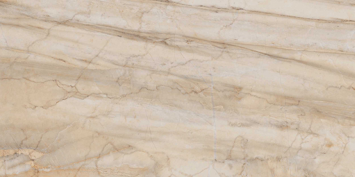 Плитка из керамогранита BR01 60x120x10 Непол.Рект. (Керамический гранит)