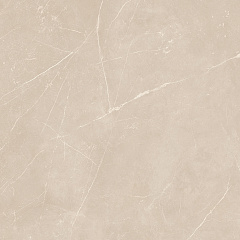 Плитка из керамогранита NL01 60x60x10 Непол.Рект. (Керамический гранит)