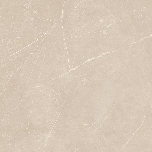 Плитка из керамогранита NL01 60x60x10 Непол.Рект. (Керамический гранит)