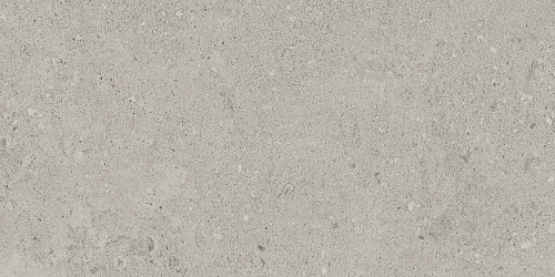 Плитка из керамогранита NP01 30,6x60,9x8 Непол. (Керамический гранит)